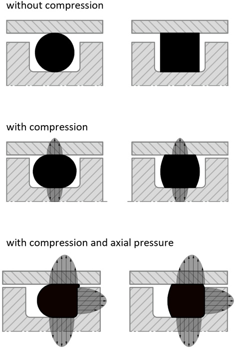 Kantseal vs. O-ring Kantseals